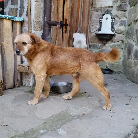 Hadov Klášterec nad Ohří
